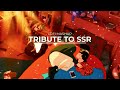 Tribute to ssr lofi mashup i mr  music i