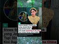 dapat beasiswa #fypyoutube #shorts