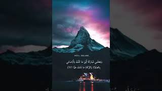 قَالَتْ إِنِّي أَعُوذُ بِالرَّحْمَٰنِ مِنكَ إِن كُنتَ تَقِيًّا (18).. سورة مريم ❤️️