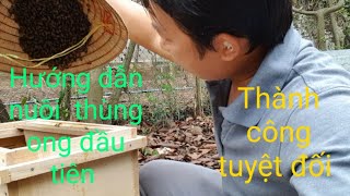 Hướng dẫn cho người mới nuôi ong- Nuôi thùng ong đầu tiên phải làm những gì?