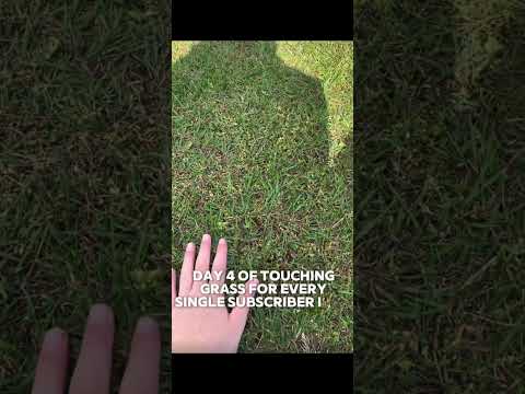 Day 4 of touching grass for every subscriber I game