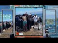 綠島岸邊驚見鯨豚擱淺　眾人合力救援讓牠重回大海