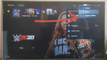 How to Appear Offline status in PS5 Console?