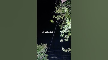 سوره يوسف #استغفر_الله #المصحف #اللهم_صل_وسلم_على_نبينا_محمد #لايك #اكسبلور #تيك_توك #القران_الكريم