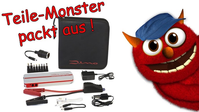 Dino KRAFTPAKET Starthilfegerät 12V/24V 1200A Starthilfe mit Powerbank &  LED-Lampe (136106) 