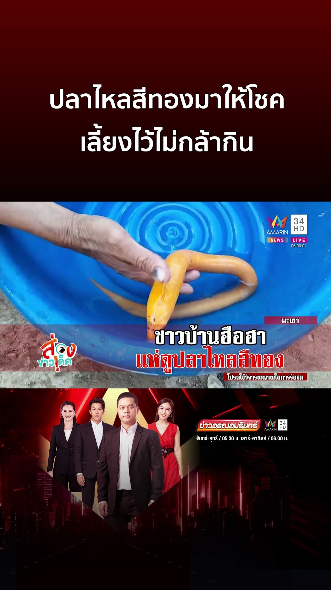 ปลาไหลสีทองมาให้โชค เลี้ยงไว้ไม่กล้ากิน | ข่าวอรุณอมรินทร์