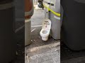 Disfruta lo votado – streetart video, street art video Barcellona, arte urbano Barcelone