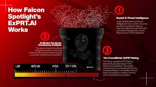 How to Use Falcon Spotlight's ExPRT.AI