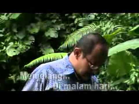 Seruling Dilembah Sunyi Song By P Zain With Lyrics Youtube