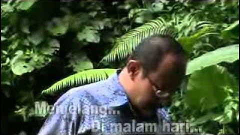 SERULING DILEMBAH SUNYI Song By P Zain with Lyrics