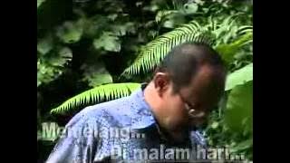 SERULING DILEMBAH SUNYI Song By P Zain with Lyrics