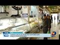 ainha chega ao Mercado do Peixe com preços promocionais em Itajaí