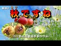 秋ですね《童謡》作詩・浅田真知／作曲・高橋知子(歌＆ピアノ・高橋知子)　美しい花がいっぱいの秋、美味しいものがいっぱいの秋、実りの秋ですね。