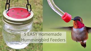 5 EASY DIY Homemade Hummingbird Feeders