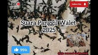 Suara Panggil Walet 2025