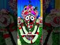Jaguali Hai Dina Rati Hebi Thia Jayjagannath Odiabhajan Statusvideo Minzcreation4521 Jaguali Hai Dina Rati Hebi Thia Jayjagannath Odiabhajan Statusvideo Minzcreation4521