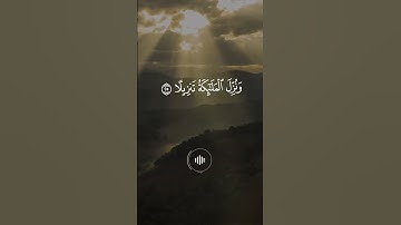 ياسر الدوسري - سورة الفرقان - تلاوة تهز القلوب - تلاوة خاشعة #ياسر_الدوسري