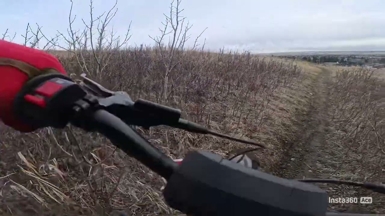 Nosehill mini bike shred on the mototec