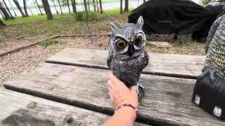 Hausse 2 Pack Fake Owl Decoy Bird Scarecrow Sculpture, Rotating Head Plastic Owl Bird Deterrents