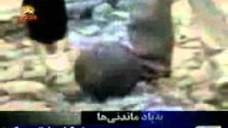 حبيب خبيري كاپيتان تيم ملي فوتبال ,اعدامي توسط آخوندها