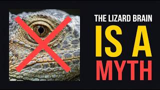 You Don't Have a 'Lizard Brain' — Scientists Just Proved It's a Myth