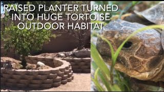 RUSSIAN TORTOISE OUTDOOR HABITAT BUILD INCLUDING A AUTOMATIC WATER CHANGING POND AND A DEN BUILD