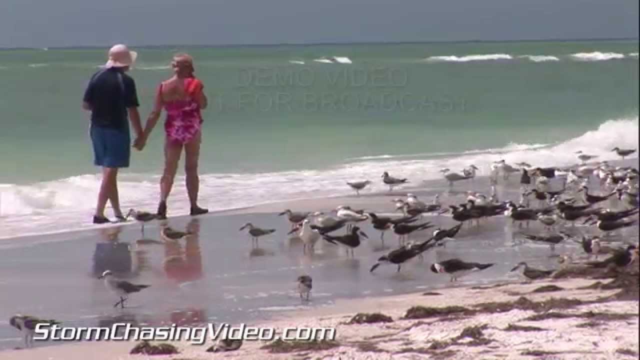 8/29/2014 Sarasota, FL Rain And Beach