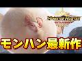 【モンハン最新作】☆１０ 融光種モンスターを狩り尽くすモンスターハンターアウトランダーズCBT２　#5
