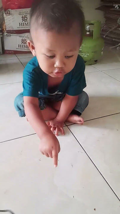 Ada tikus mati