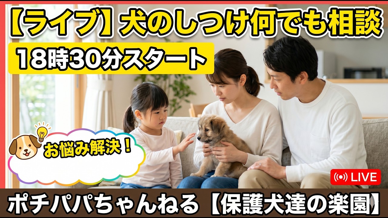 【ライブ】犬のしつけ何でも相談18時30分スタート