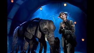 'A Lot Like Me' - excerpt from 'The Magician's Elephant' at the Royal Shakespeare Company