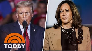 Decision 2024: What to expect from final weekend of campaigning