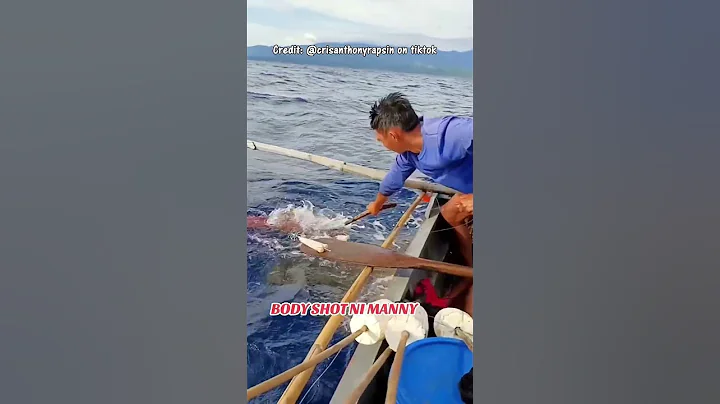 When the Angry SQUID Decides to fight back #fishing #viral #fish #squids #squid