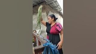 vlog sayur begini ketawanya ibu ibu beli sayur