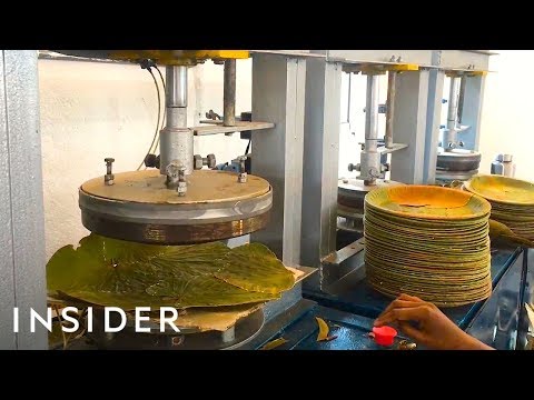 How Leaves Are Made Into Biodegradable