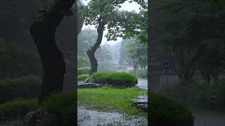 Calm Rain Sounds for Sleeping #rainsoundlullaby #naturalrainsound #stressrelief  #relaxingtimeforyou