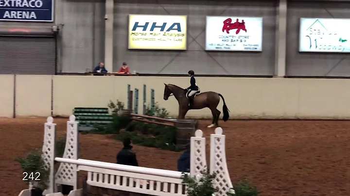 Victoria Zahorik Equitation on the Flat - January 2021