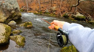 WINTER STREAMER FISHING! (Why you should trout fish in the winter)