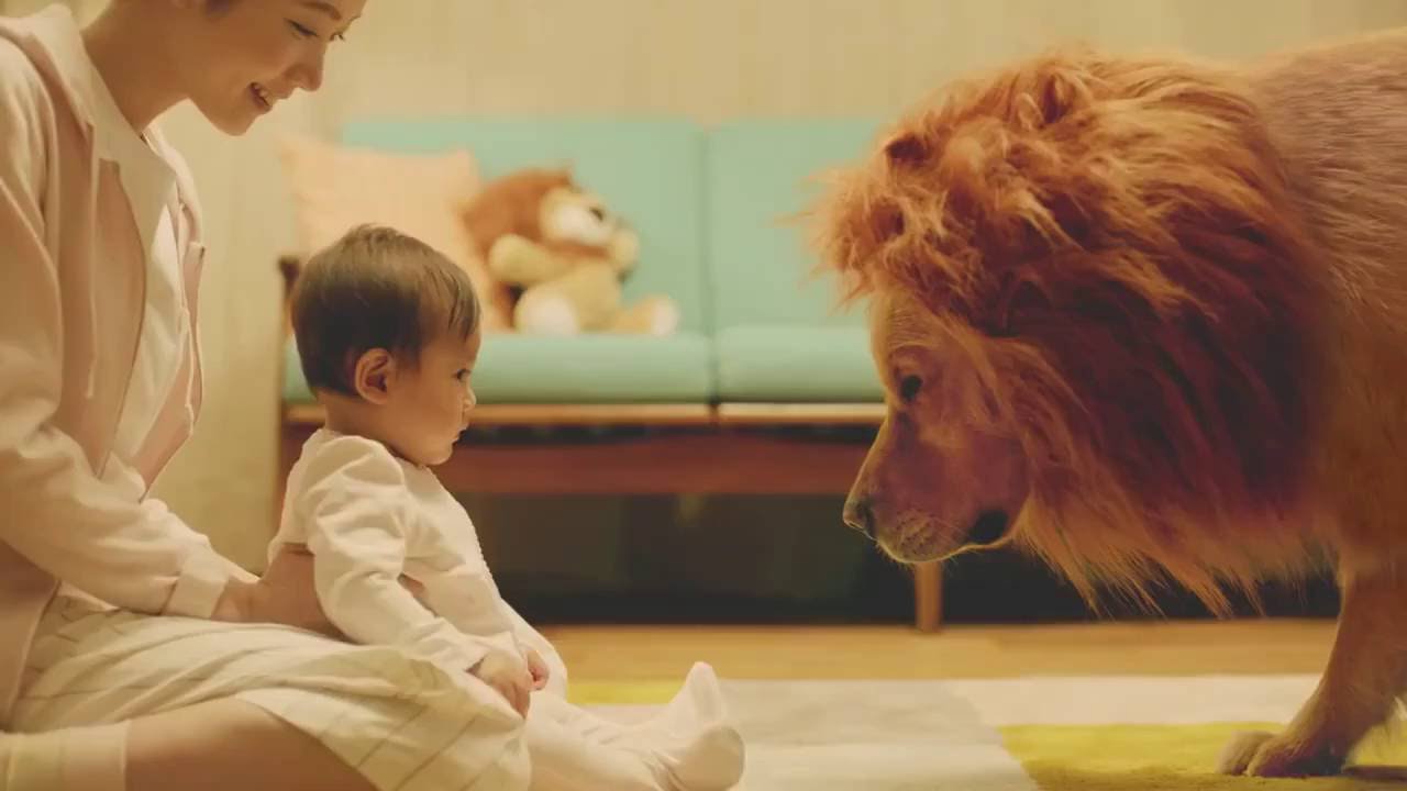 Golden Retriever and the Baby - Best and Cutest Advertisement Ever ...