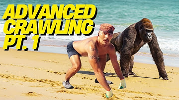 Apex Primal Flow: Advanced Monkey & Gorilla Crawl Workout