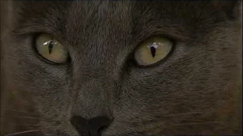 JVC Everio GZ-HM300BU .wmv