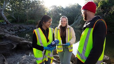 Create a sustainable future and conserve our natural world | Environment | RMIT University