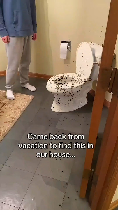 1 billion SPIDERS🕸🕷