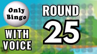 🟠🟡🟢🔵3D BINGO CALLER - 90 BALL - ROUND 25 screenshot 3