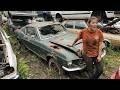 This 1968 Mustang GT390 Was Rotting in a Junkyard for Decades… Can It Be Saved?