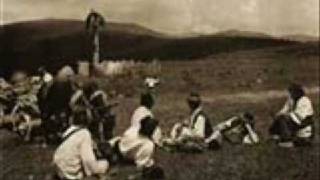 Românească rară şi Învârtita / Two melodies for dance from Transylvanian Plain