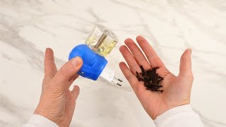 Put This In Empty Raid Electric Diffuser. Have Mosquito Repellent For Pennies