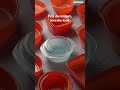 Stylish & Functional Glass Bowls for a Fresh Year | New Launch by Borosil