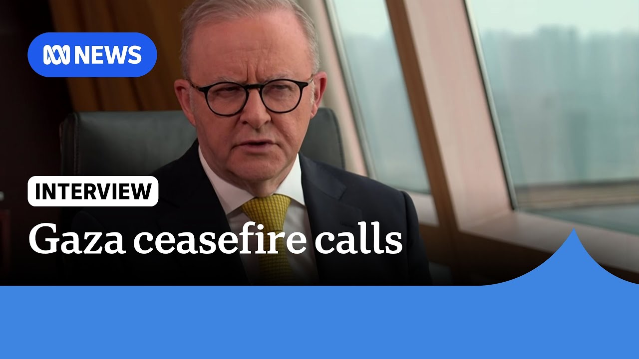 Anthony Albanese calls recent actions in Gaza ‘completely indefensible’