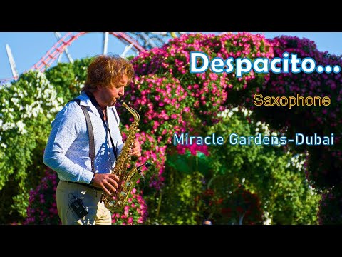 Despacito | Instrumental